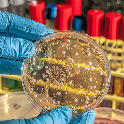 Zdraví a kontrola nemocí