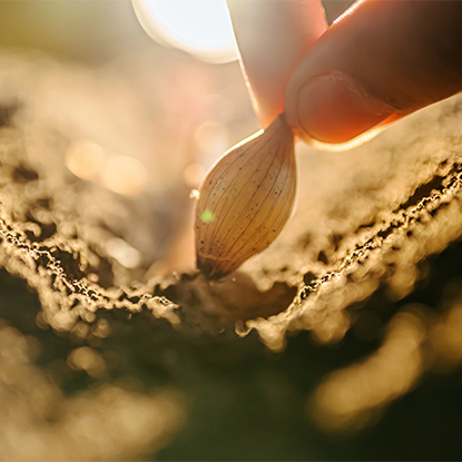 Zemědělství a lesnictví